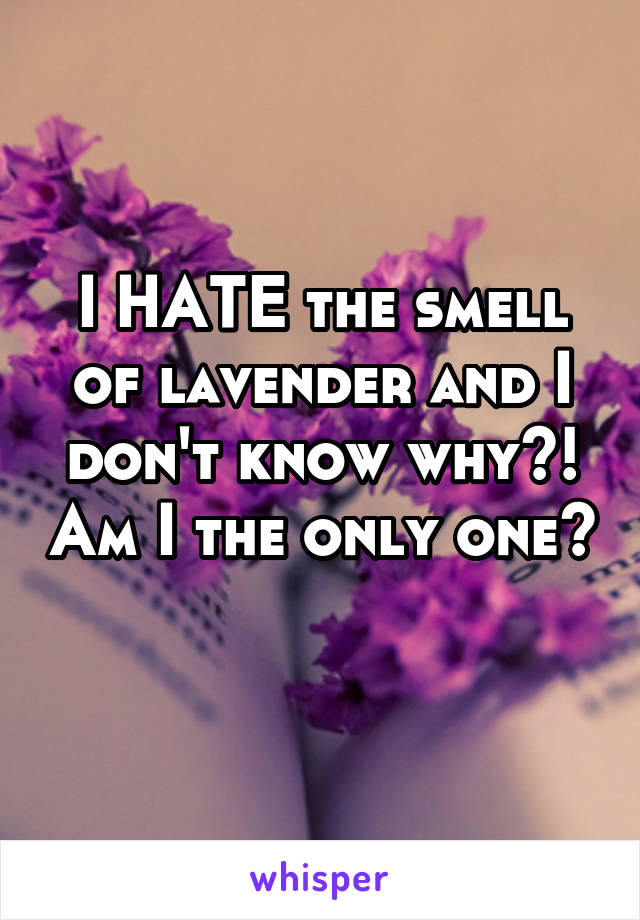 I HATE the smell of lavender and I don't know why?! Am I the only one? 