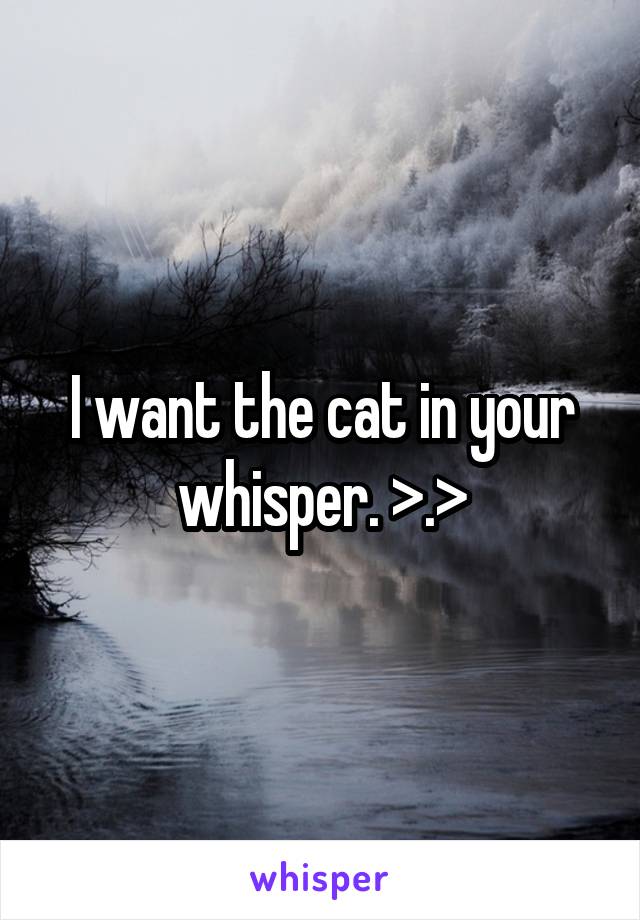 I want the cat in your whisper. >.>