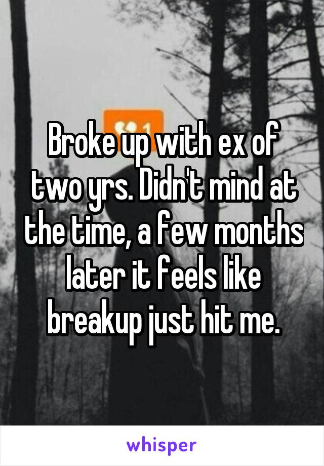 Broke up with ex of two yrs. Didn't mind at the time, a few months later it feels like breakup just hit me.