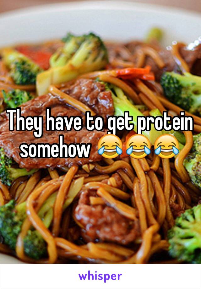 They have to get protein somehow 😂😂😂