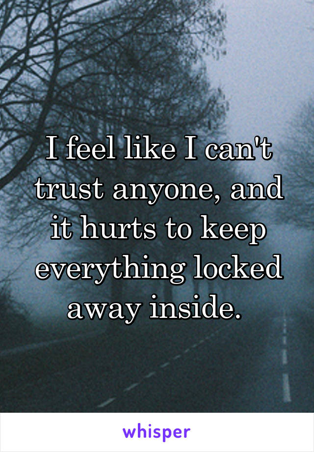 I feel like I can't trust anyone, and it hurts to keep everything locked away inside. 