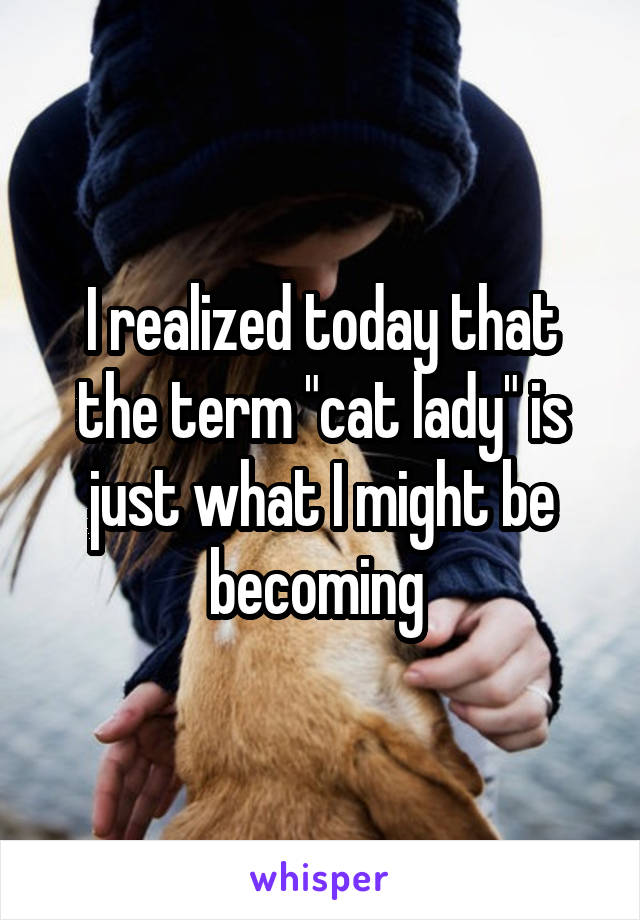 I realized today that the term "cat lady" is just what I might be becoming 