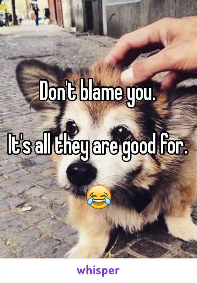 Don't blame you. 

It's all they are good for. 

😂