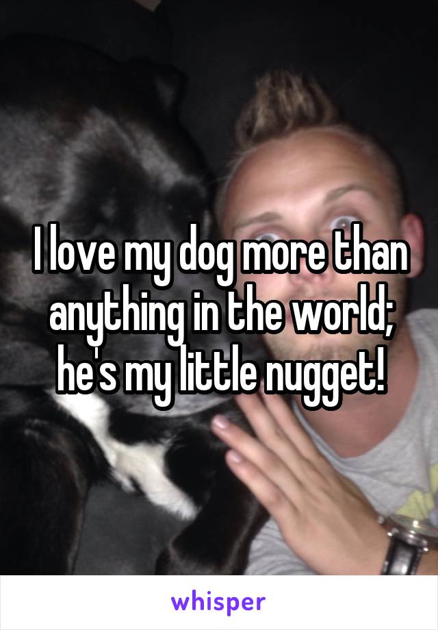 I love my dog more than anything in the world; he's my little nugget!