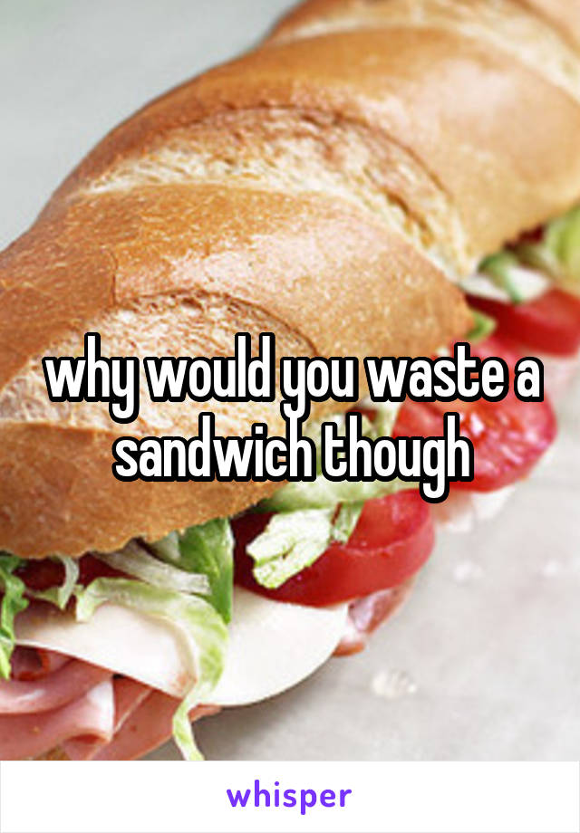 why would you waste a sandwich though