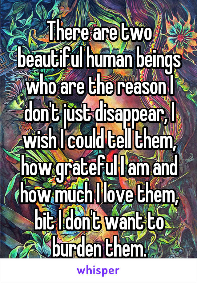 There are two beautiful human beings who are the reason I don't just disappear, I wish I could tell them, how grateful I am and how much I love them, bit I don't want to burden them.