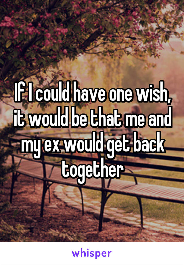 If I could have one wish, it would be that me and my ex would get back together