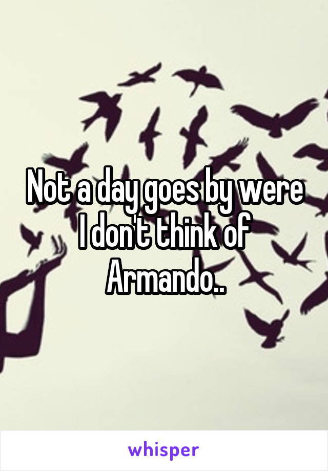 Not a day goes by were I don't think of Armando..