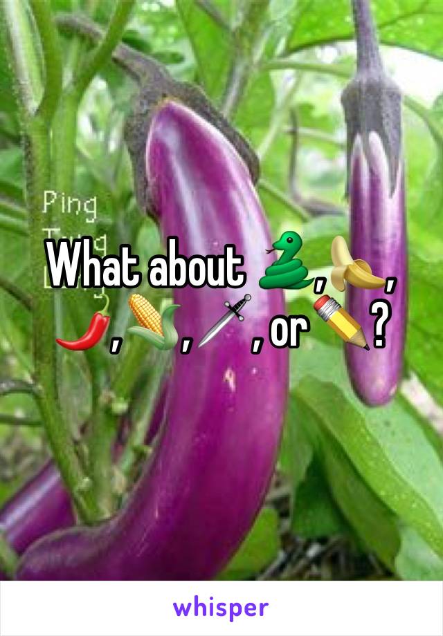 What about 🐍,🍌,🌶,🌽,🗡, or✏️?