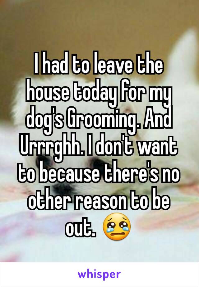 I had to leave the house today for my dog's Grooming. And Urrrghh. I don't want to because there's no other reason to be out. 😢