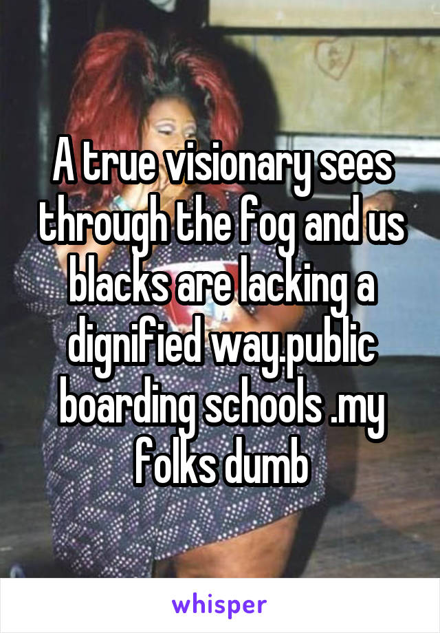 A true visionary sees through the fog and us blacks are lacking a dignified way.public boarding schools .my folks dumb