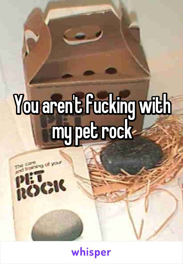 You aren't fucking with my pet rock
