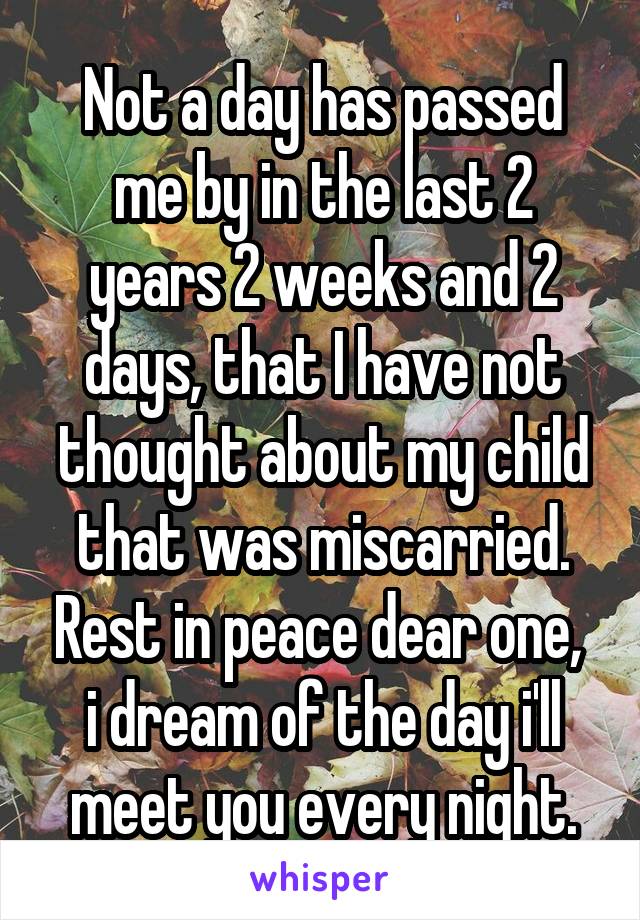 Not a day has passed me by in the last 2 years 2 weeks and 2 days, that I have not thought about my child that was miscarried. Rest in peace dear one,  i dream of the day i'll meet you every night.