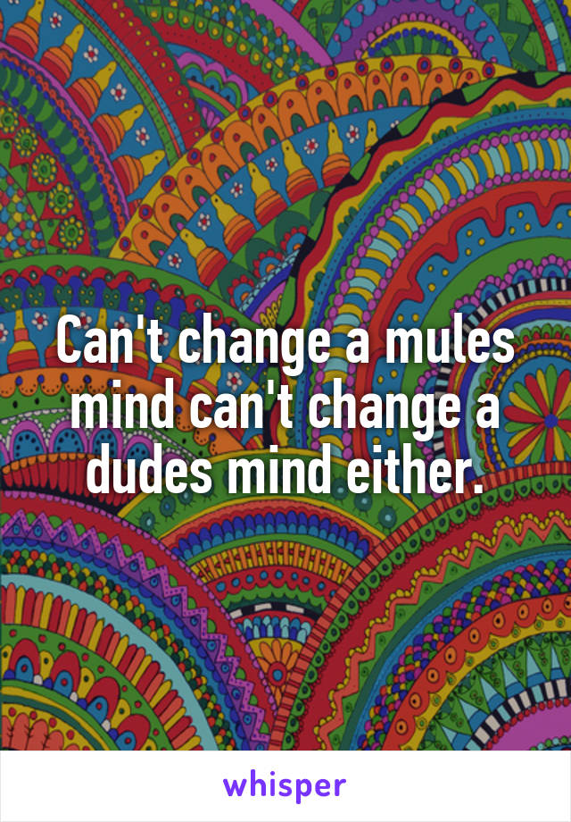 Can't change a mules mind can't change a dudes mind either.