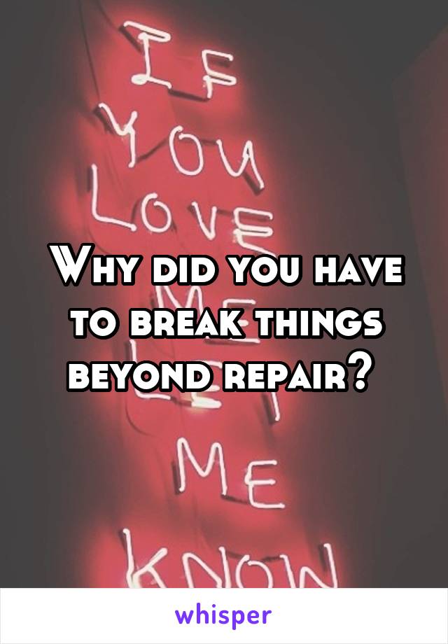 Why did you have to break things beyond repair? 