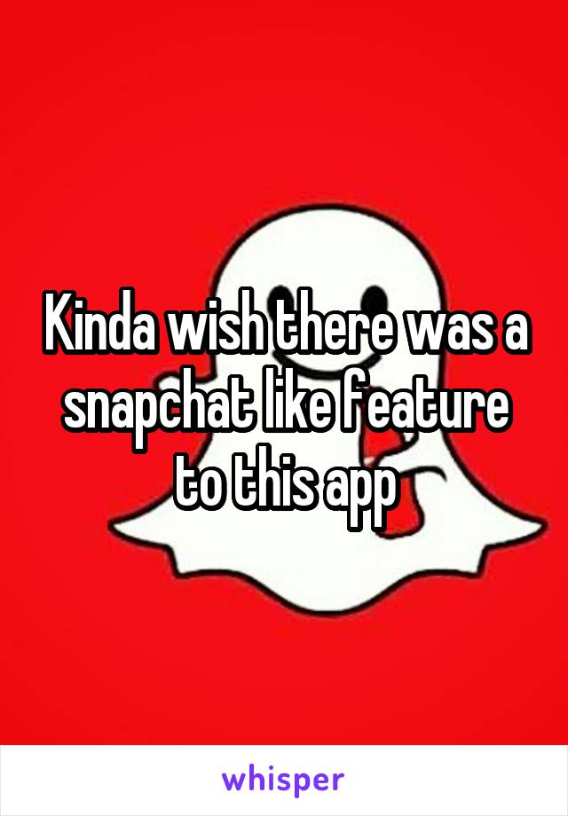 Kinda wish there was a snapchat like feature to this app