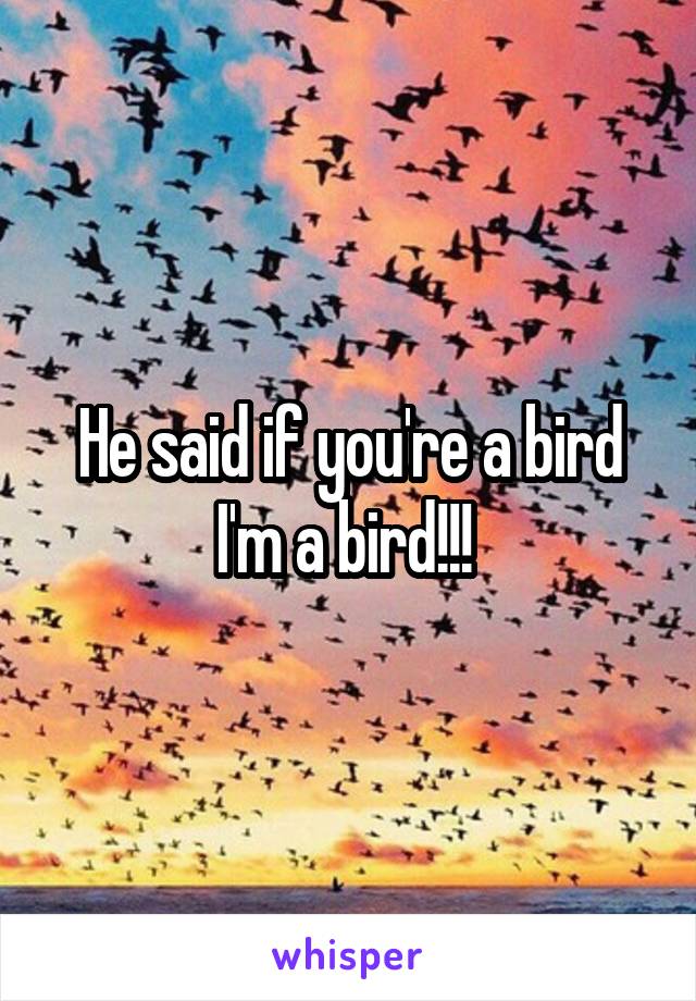 He said if you're a bird I'm a bird!!! 