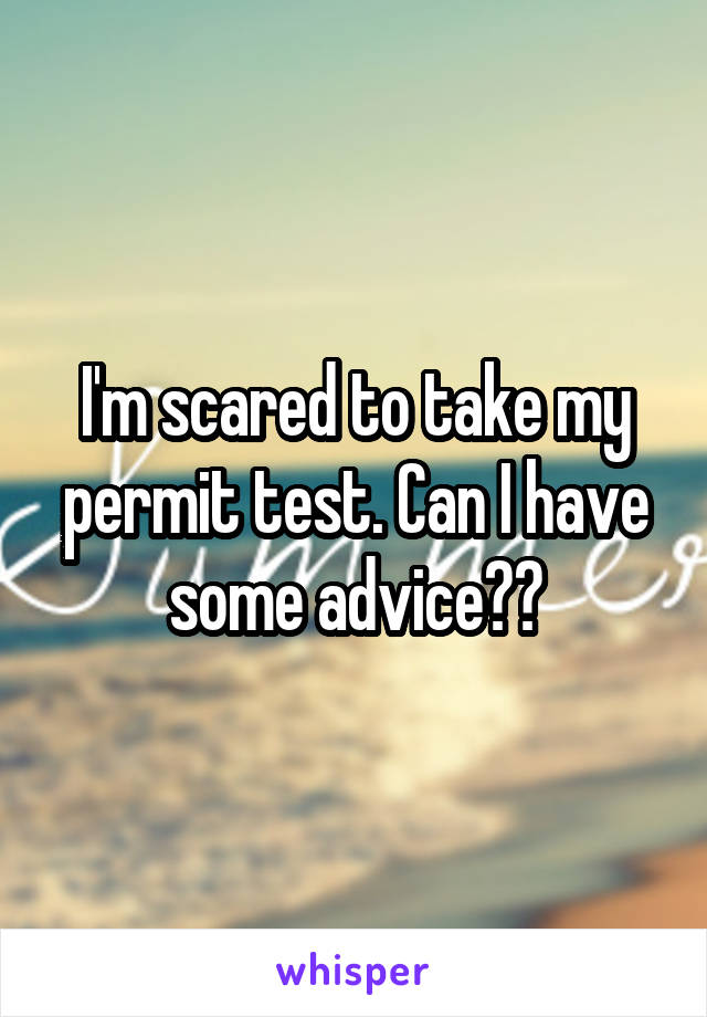 I'm scared to take my permit test. Can I have some advice??