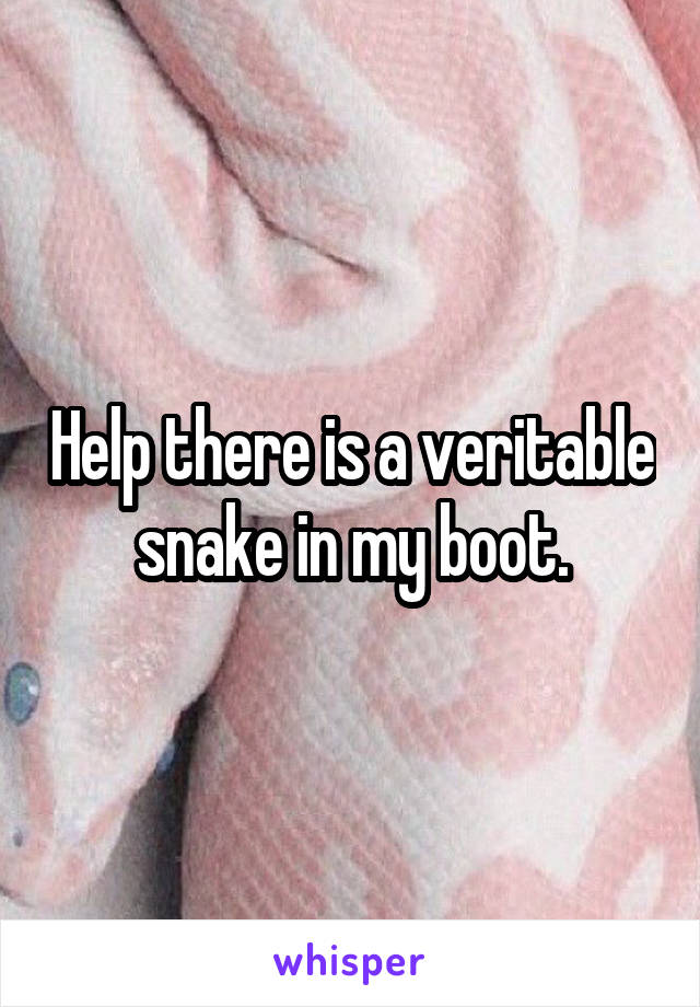 Help there is a veritable snake in my boot.