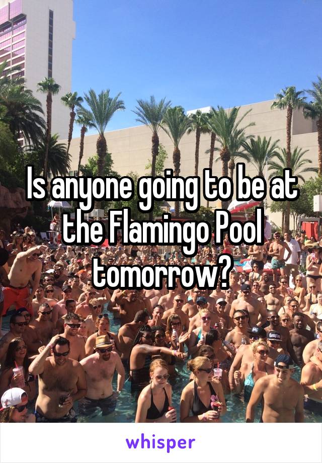 Is anyone going to be at the Flamingo Pool tomorrow?