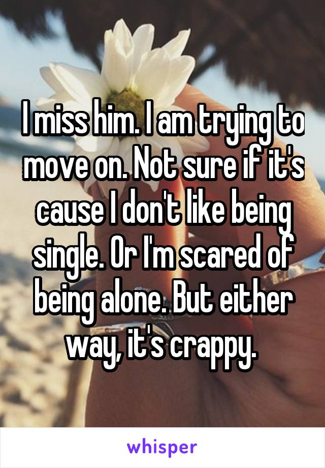 I miss him. I am trying to move on. Not sure if it's cause I don't like being single. Or I'm scared of being alone. But either way, it's crappy. 