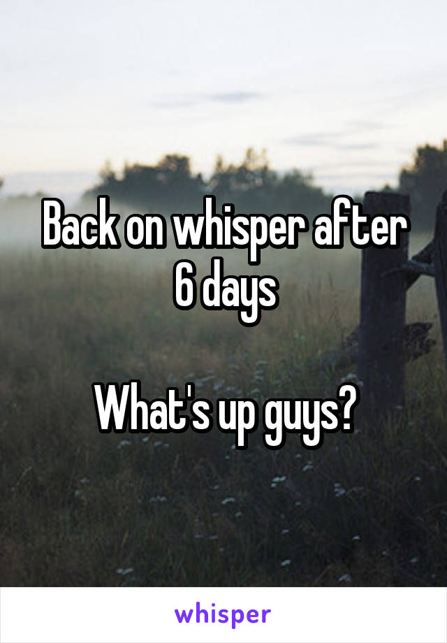 Back on whisper after 6 days

What's up guys?