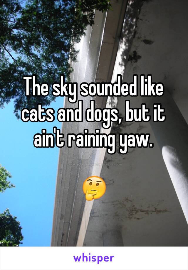 The sky sounded like cats and dogs, but it ain't raining yaw.

🤔