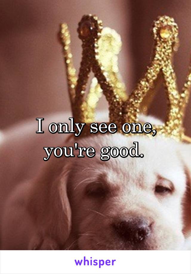 I only see one, you're good. 