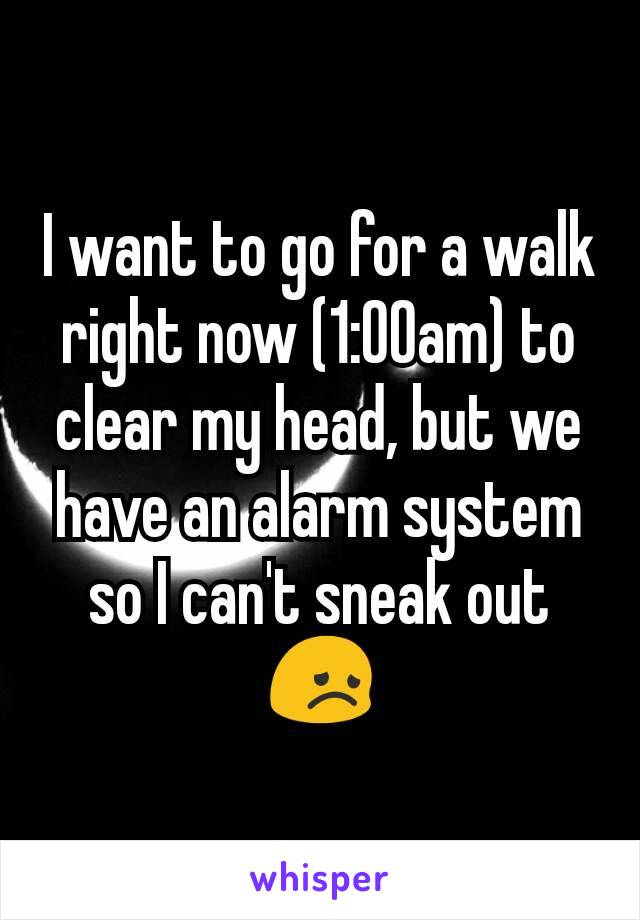 I want to go for a walk right now (1:00am) to clear my head, but we have an alarm system so I can't sneak out 😞