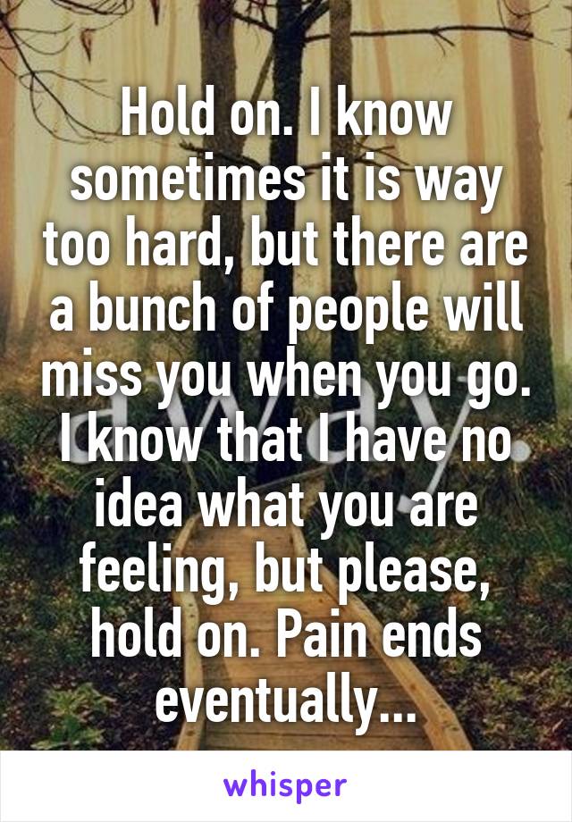 Hold on. I know sometimes it is way too hard, but there are a bunch of people will miss you when you go. I know that I have no idea what you are feeling, but please, hold on. Pain ends eventually...