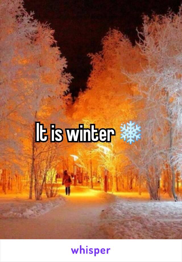 It is winter❄