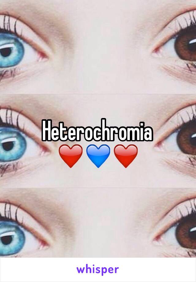 Heterochromia
❤️💙❤️