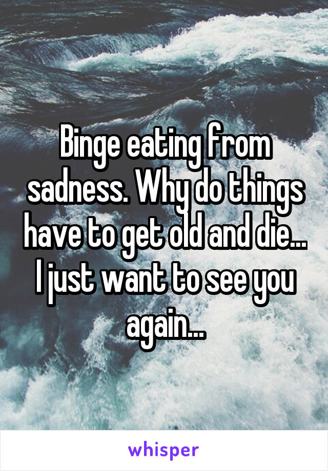 Binge eating from sadness. Why do things have to get old and die... I just want to see you again...