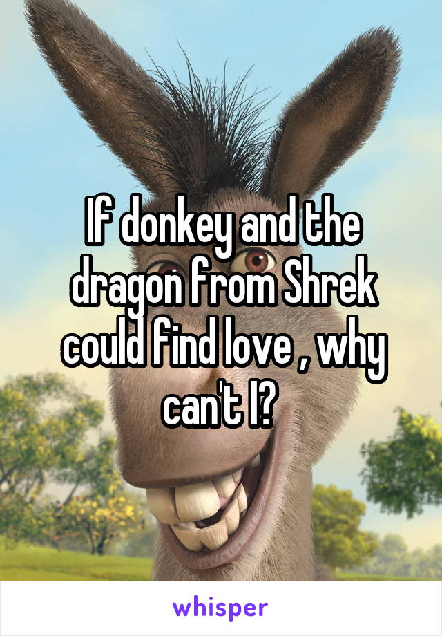 If donkey and the dragon from Shrek could find love , why can't I? 