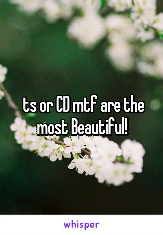  ts or CD mtf are the most Beautiful!