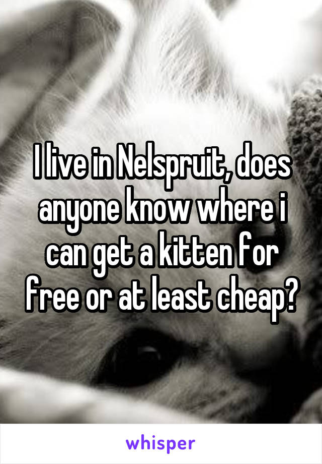 I live in Nelspruit, does anyone know where i can get a kitten for free or at least cheap?