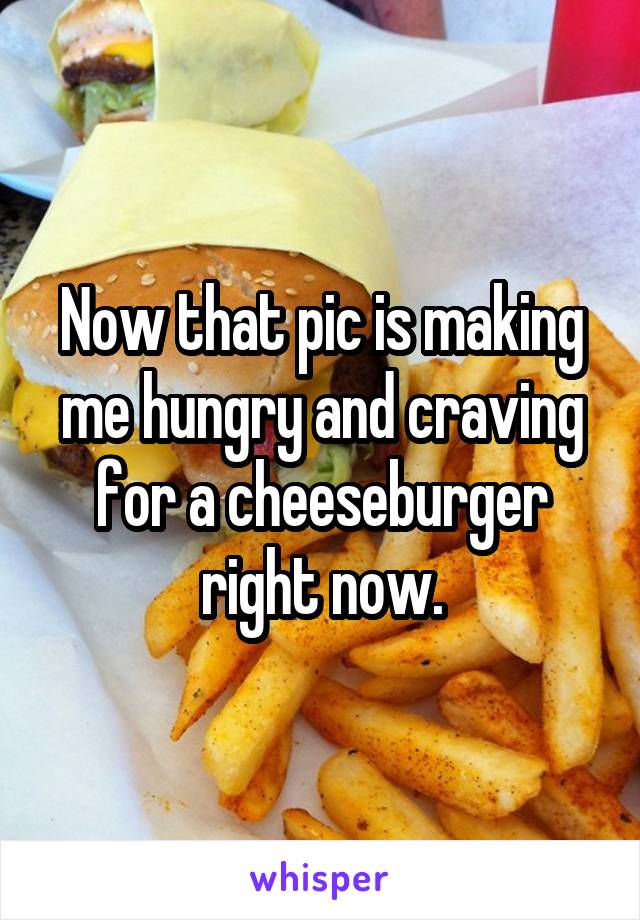 Now that pic is making me hungry and craving for a cheeseburger right now.