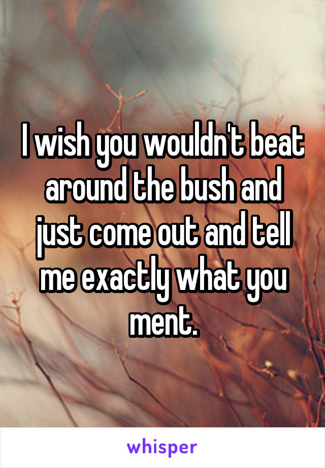 I wish you wouldn't beat around the bush and just come out and tell me exactly what you ment.