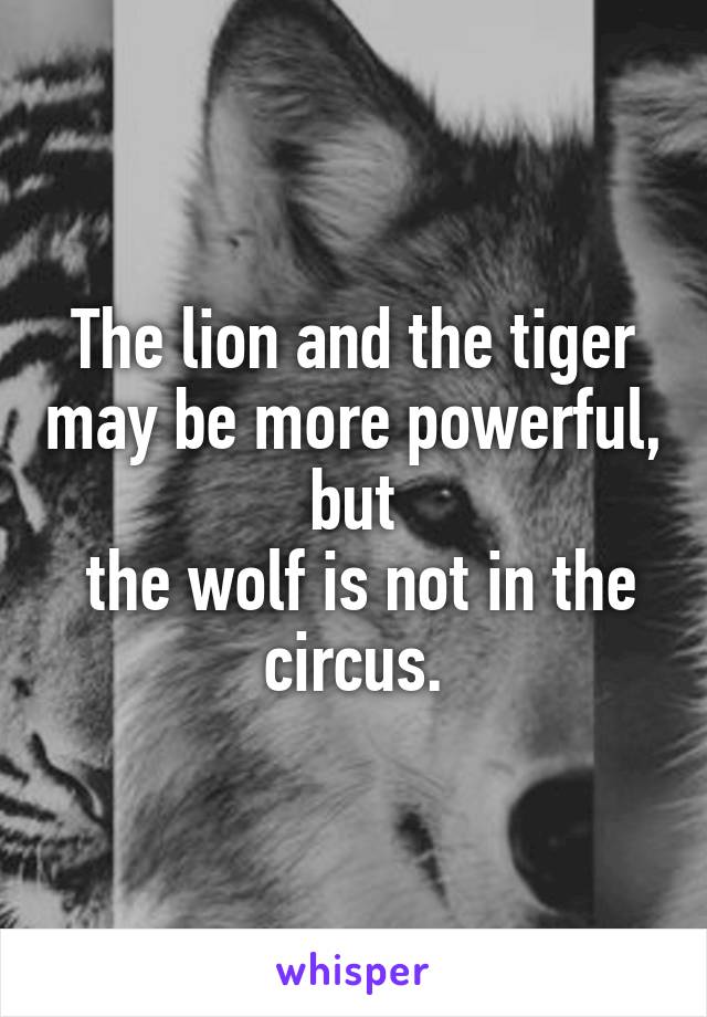 The lion and the tiger may be more powerful, but
 the wolf is not in the circus.