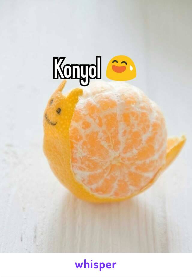 Konyol 😅