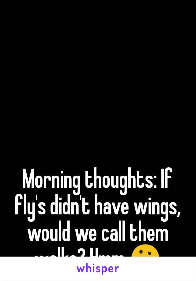 Morning thoughts: If fly's didn't have wings, would we call them walks? Hmm 🤔