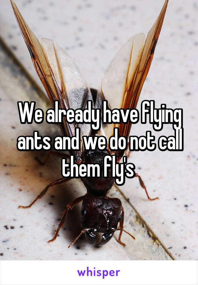 We already have flying ants and we do not call them fly's 