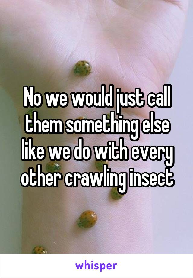 No we would just call them something else like we do with every other crawling insect