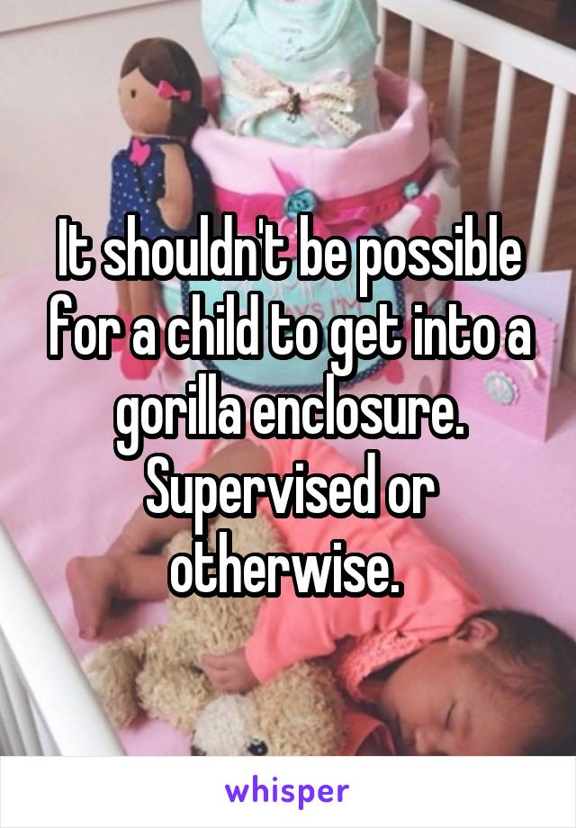 It shouldn't be possible for a child to get into a gorilla enclosure. Supervised or otherwise. 