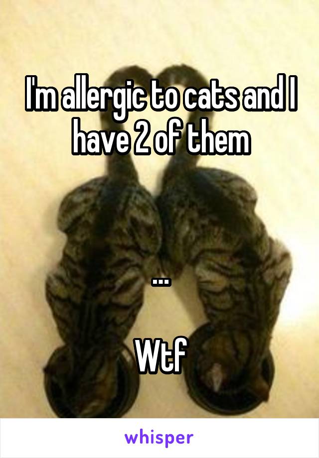 I'm allergic to cats and I have 2 of them


…

Wtf