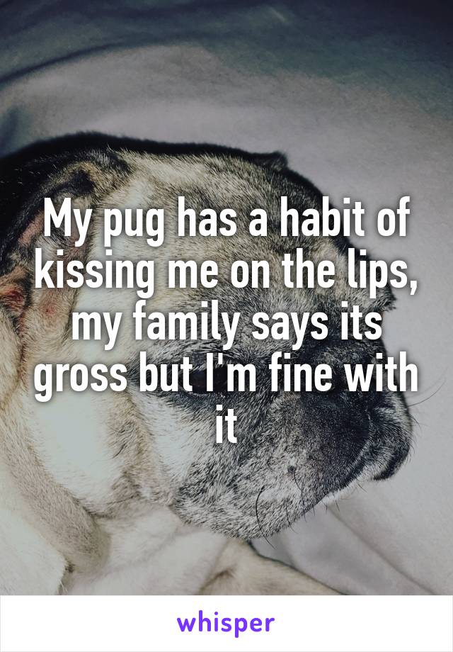 My pug has a habit of kissing me on the lips, my family says its gross but I'm fine with it