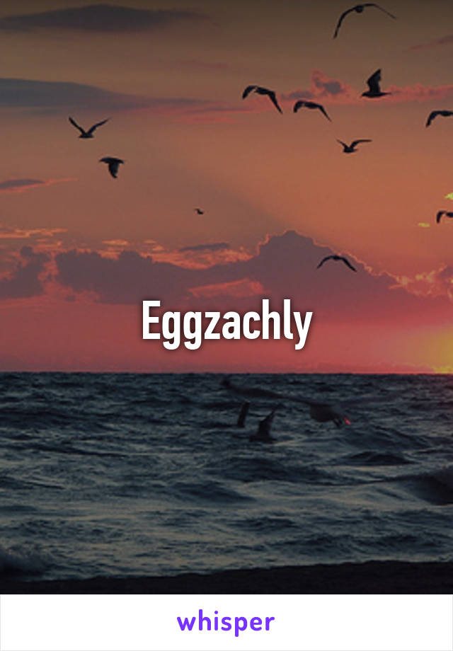 Eggzachly