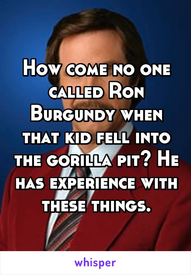 How come no one called Ron Burgundy when that kid fell into the gorilla pit? He has experience with these things.