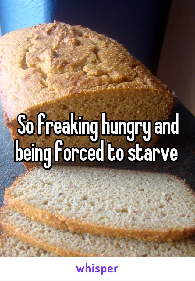 So freaking hungry and being forced to starve 