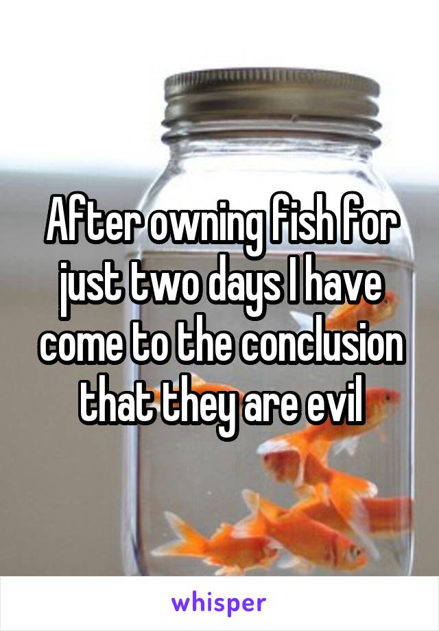 After owning fish for just two days I have come to the conclusion that they are evil